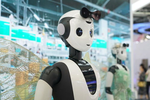 鏡觀服貿(mào)會(huì) 中國(guó)智造服務(wù)世界——聚焦攝影攝像服務(wù)新高度